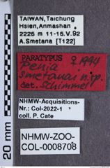 Etiketten zu Penia smetanai (NHMW-ZOO-COL-0008708)